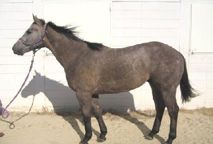 �ǹ����� ����