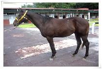 ����Ǳٿ� (GIPPEUMUI GEUNWON) ����