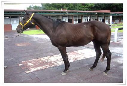 ����Ǳٿ� ����