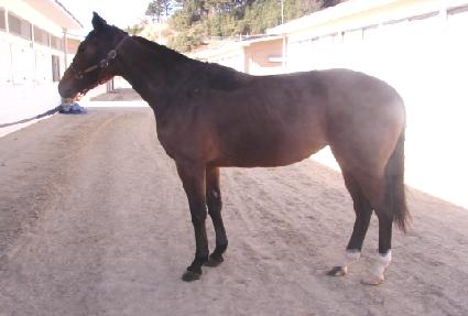 �������� ����