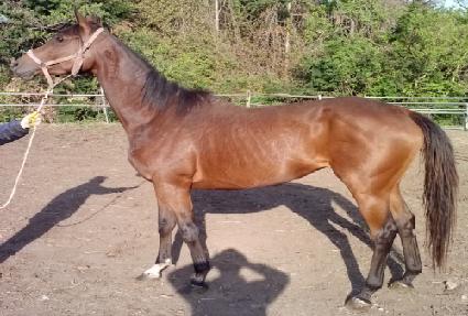 �˵����ũ ����