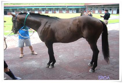 ��� ����