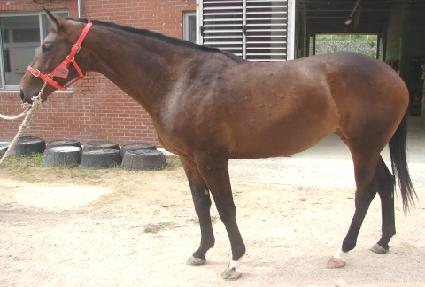 Ʈ����Ʈ ����