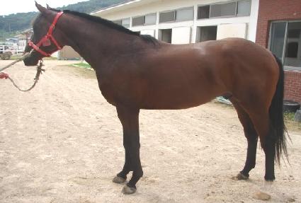 ��������� ����