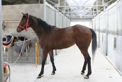 ���̸������̸����ڸ� ����