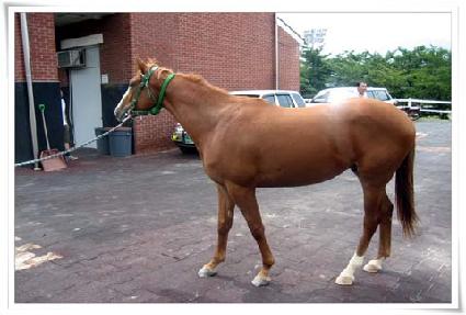 ����Ƚ� ����