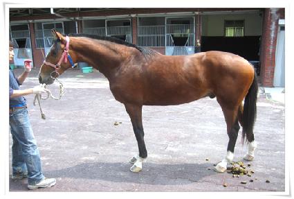 ���庻�� ����