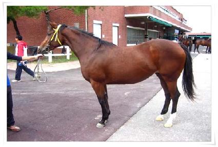 �����̺�Ʈ ����