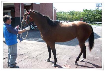 ��ī�̵�� ����