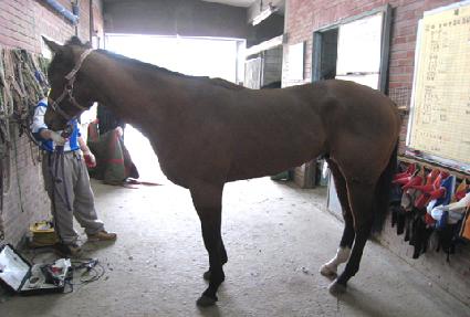 ������̽� ����