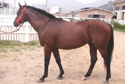 ������ ����