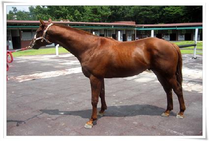 ������� ����