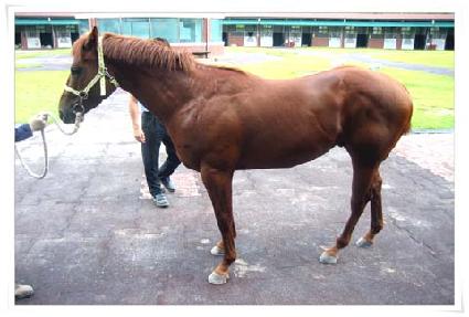 ���� ����