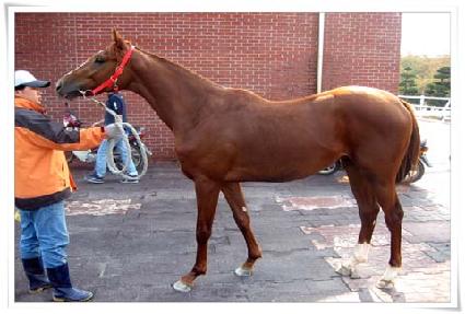 �߽� ����