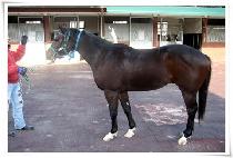 �±ػ�� (TAEGEUKSARANG) ����