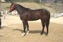 Ȳ���� (HWANGJEGUNG) ����