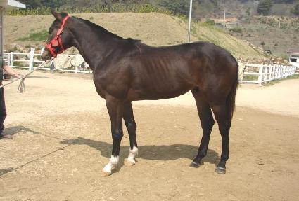 Ȳ���� ����