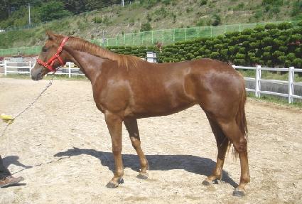 �̷�Ŭ���� ����