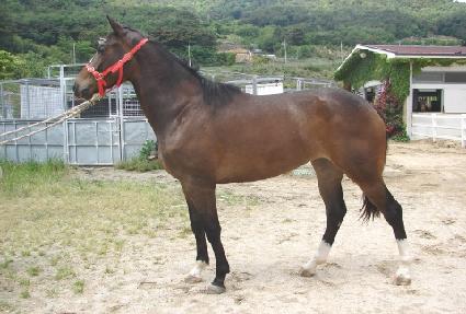 �����ڵ� ����