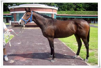 �ູ�ѹ̼� ����