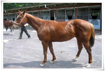 �޵鸰���ǵ� ����