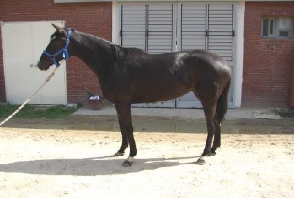 �ݺ����� ����