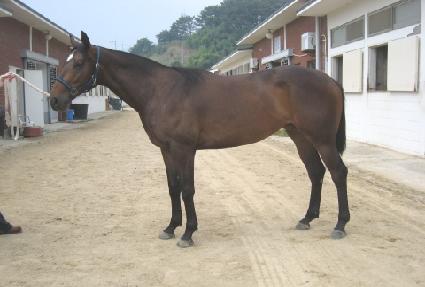 �����귣�� ����