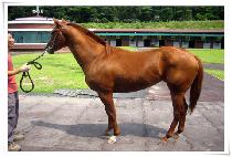 ��¼����� (RAON SUNSHINE) ����