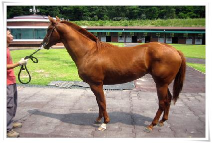 ��¼����� ����