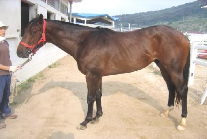 ���ŰƼ ����