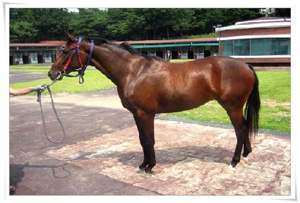 ���è�� ����