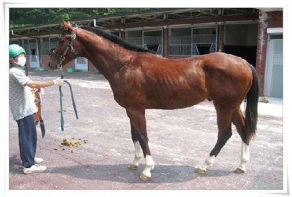 ���� ����