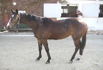 õ������� (CHEONJI YEOJANGBU) ����