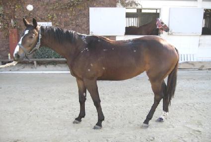 õ������� ����