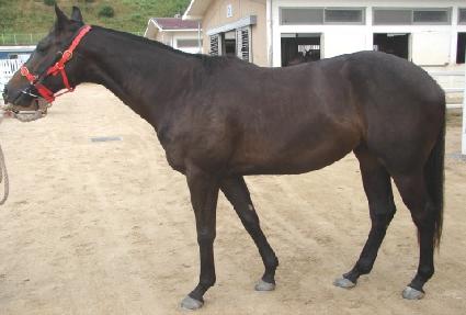 ��·ε� ����