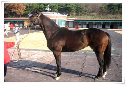 �ݵ��ǹ̷� ����