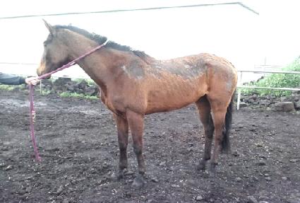 �׸����̽� ����