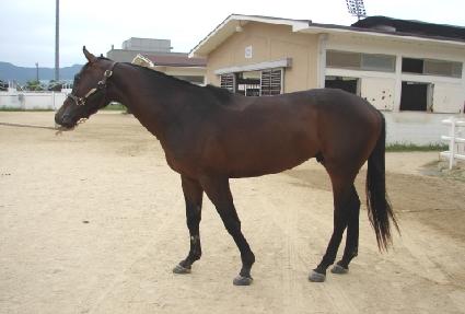 �ְ����� ����