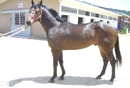 �����ú��� ����