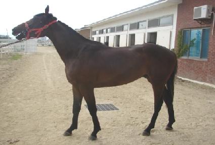 �������� ����