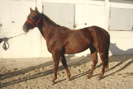 ���̽����� ����