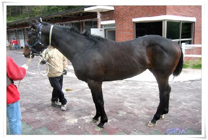 �������� ����