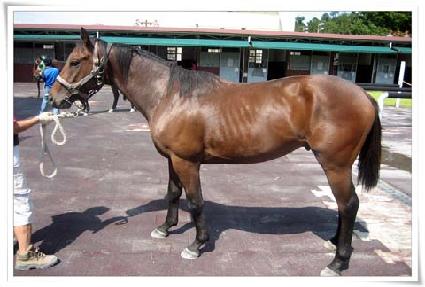 ���������� ����