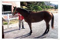 ����� (HEROINE) ����