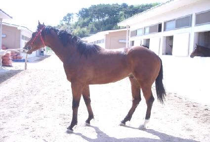 ������� ����