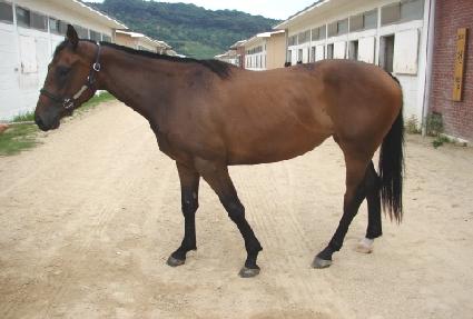 ������ ����