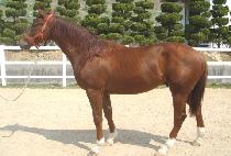 �������Լ� (NAMJJOKUI HAMSEONG) ����