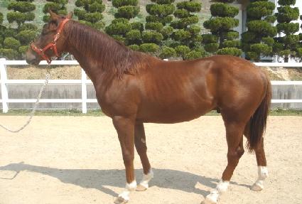 �������Լ� ����