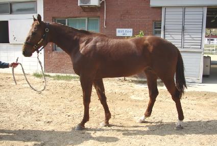 ��������� ����