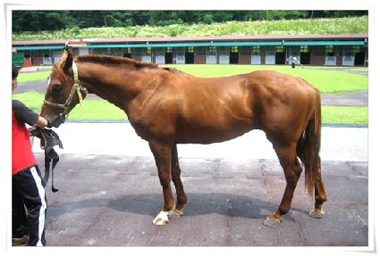 �ÿ������� ����